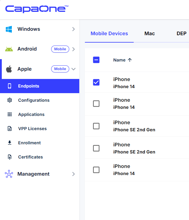 Apple device page opened from the Endpoints list